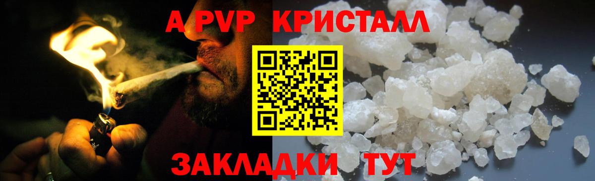 Alfa_PVP СК КРИС Магадан