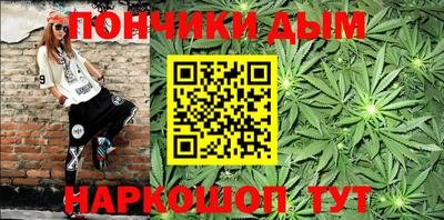 индика Рузаевка