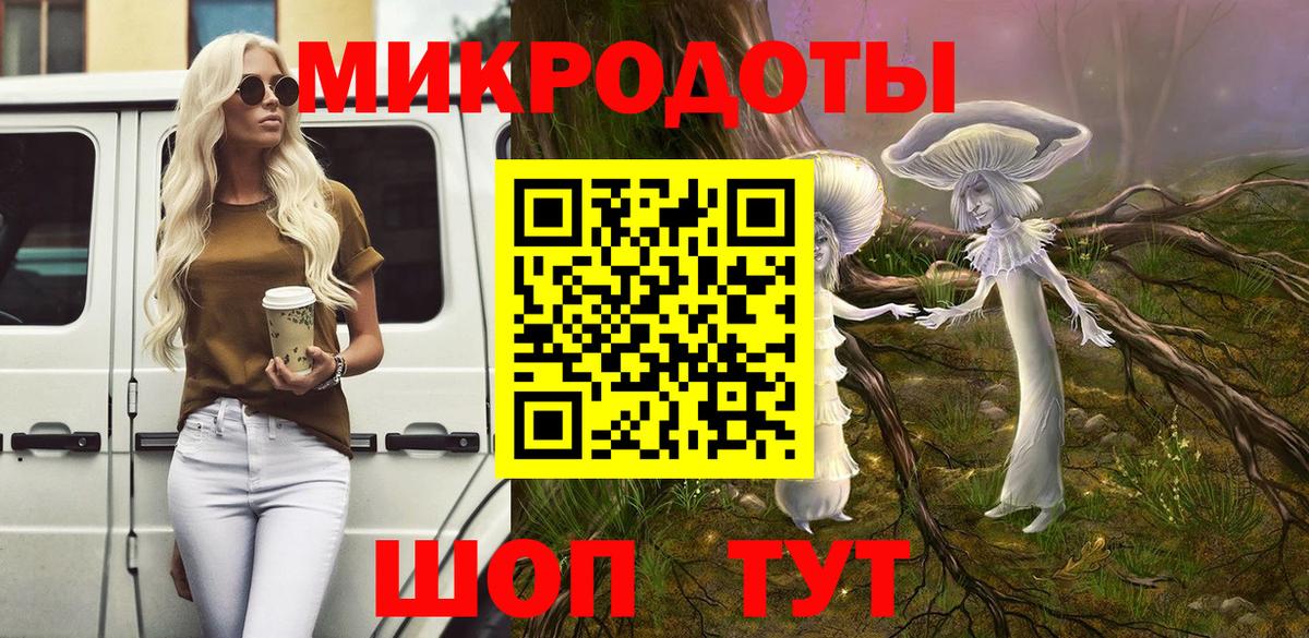 Псилоцибиновые грибы Psilocybe  Псилоцибиновые грибы Psilocybe  купить наркотики сайты  Магадан  Вход с VPN 